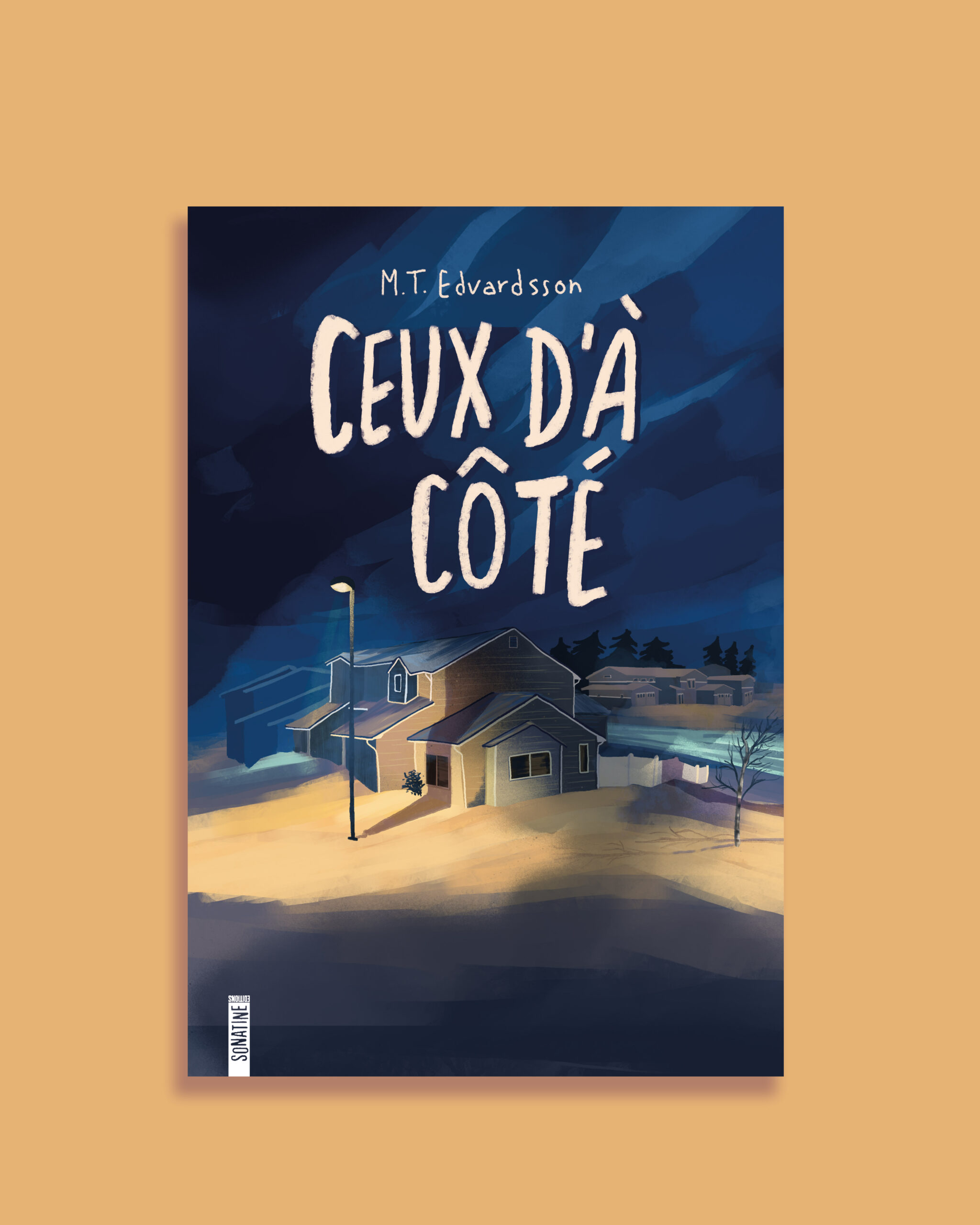 illustration couverture de roman